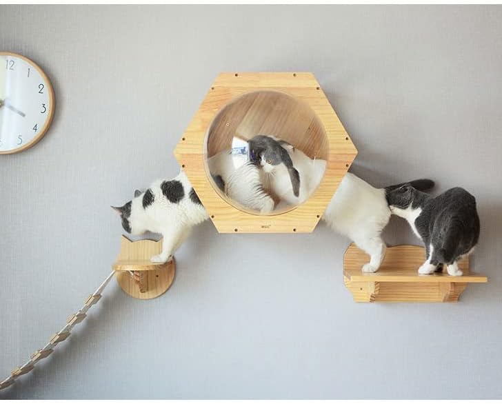 חתול צעצוע חתול גשר סולם טיפוס מסגרת חתול עץ בית עץ חתלתול קפיצות פלטפורמת עשה זאת בעצמך לחיות מחמד ריהוט בית לשחק קיר רכוב