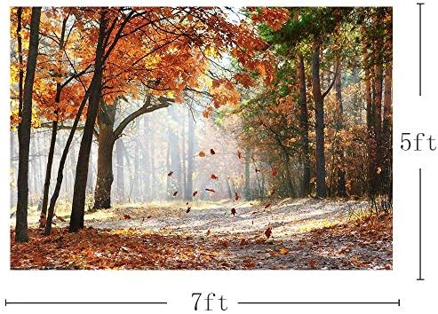 זהב סתיו סצנה יער עצי תמונה סטודיו תא תפאורות מייפל עלים עץ סתיו נוף צילום רקעים 7 * 5 רגל